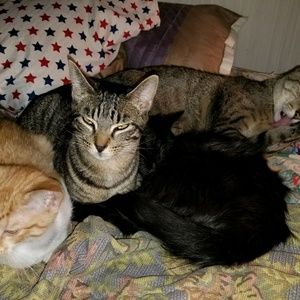 Meet your Posher, Edna